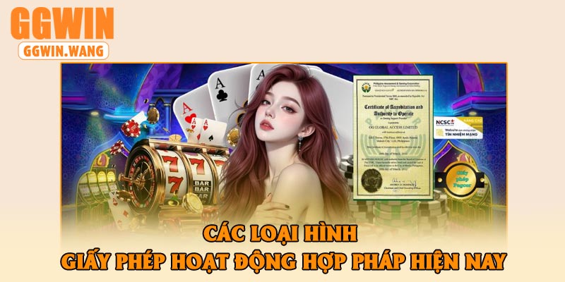 Các loại hình giấy phép hoạt động hợp pháp hiện nay