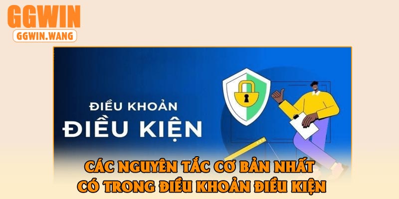 Các nguyên tắc cơ bản nhất có trong điều khoản điều kiện