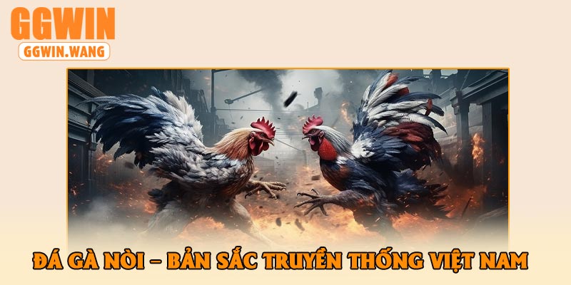 Đá Gà Nòi – Bản Sắc Truyền Thống Việt Nam